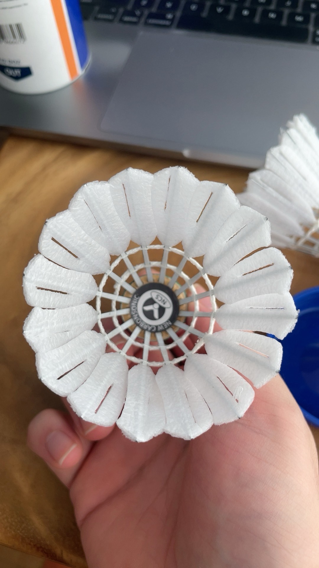 可以肯定的 可以肯定的