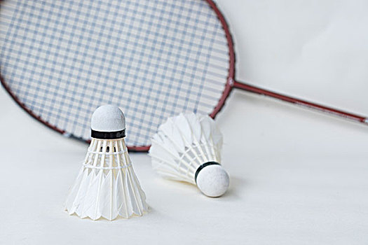 上任後引入 上任後引入